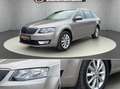 Skoda Octavia Combi 1,6 Elegance TDI 4x4 Green tec Grau - thumbnail 3