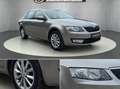 Skoda Octavia Combi 1,6 Elegance TDI 4x4 Green tec Grau - thumbnail 5