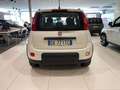 Fiat Panda 1.0 FireFly S&S Hybrid City Life PROMO FREEDOM Blanc - thumbnail 4