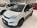 Fiat Panda 1.0 FireFly S&S Hybrid City Life PROMO FREEDOM Blanc - thumbnail 1