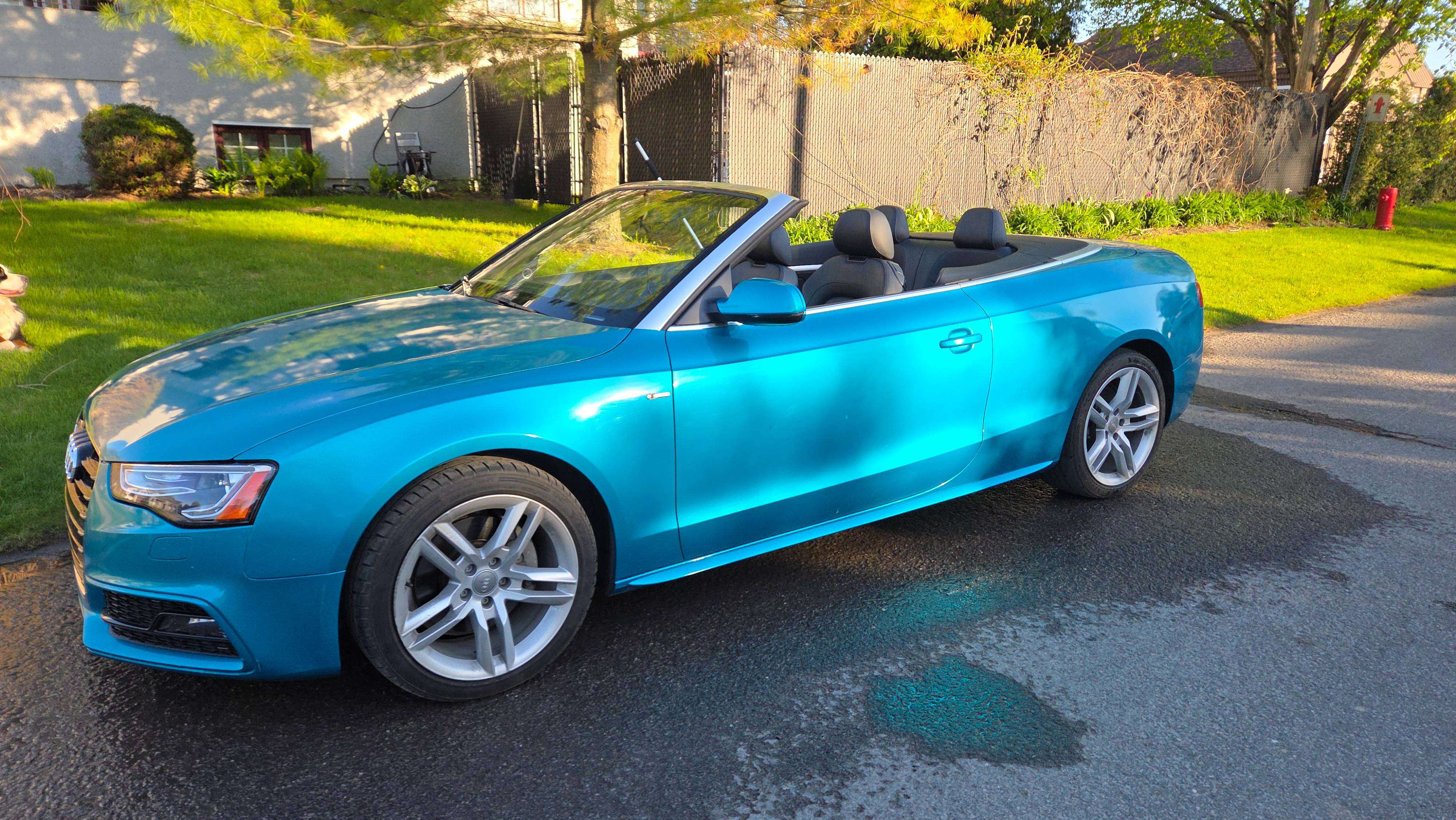 2016 Audi A5 Technik alt 2