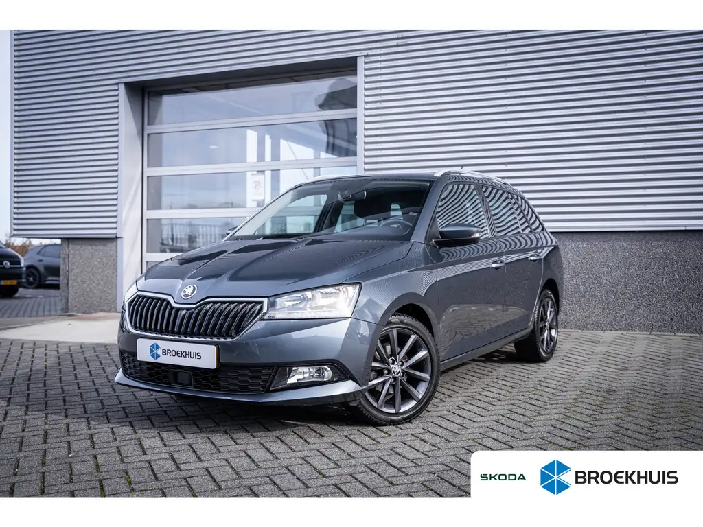 Skoda Fabia 2020 из Европы — купить под ключ