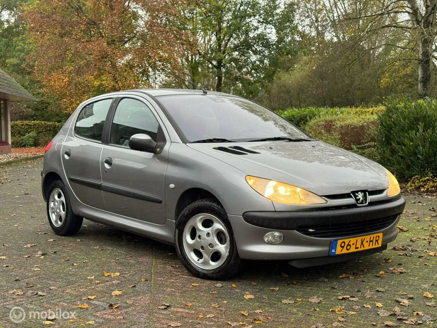 Peugeot 206 1.4 Gentry Premium AUTOMAAT NWE APK NAP Grijs - 2