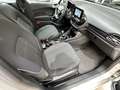 Ford Fiesta 1.0 EcoBoost S/S Trend+ 100 Gris - thumbnail 13