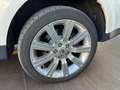 Land Rover Range Rover Sport Range Rover Sport 3.6 tdV8 HSE auto IVA ESPOSTA UP Bianco - thumbnail 6