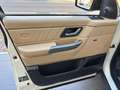 Land Rover Range Rover Sport Range Rover Sport 3.6 tdV8 HSE auto IVA ESPOSTA UP Bianco - thumbnail 10