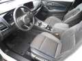 Nissan Qashqai N-Cconecta  "Wenig Kilometer" Weiß - thumbnail 21