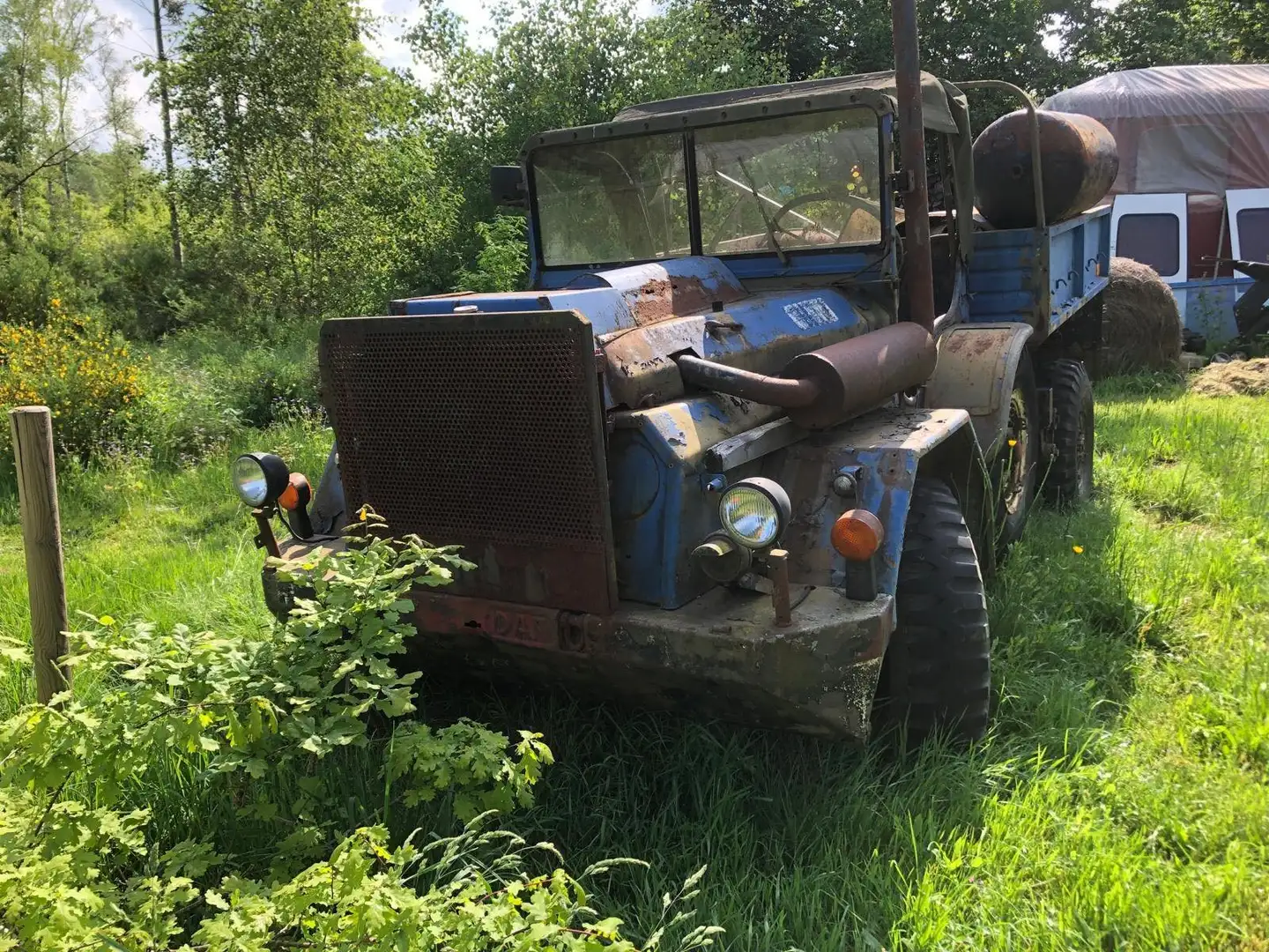 DAF Azul - 1