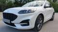 Ford Kuga ST-LINE X-Allrad/Automatik190PS/TÜV/AU-Neu Weiß - thumbnail 7