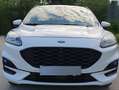 Ford Kuga ST-LINE X-Allrad/Automatik190PS/TÜV/AU-Neu Weiß - thumbnail 13