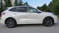 Ford Kuga ST-LINE X-Allrad/Automatik190PS/TÜV/AU-Neu Weiß - thumbnail 31