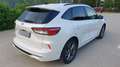 Ford Kuga ST-LINE X-Allrad/Automatik190PS/TÜV/AU-Neu Weiß - thumbnail 14