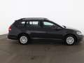 Volkswagen Golf Variant Golf VII Variant 1.6 TDI Trendline SITZHZG TEMP Grau - thumbnail 4