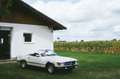Mercedes-Benz SL 280 R107 **1.Hd / perf. Zustand** Weiß - thumbnail 38