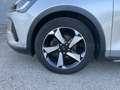 Ford Focus Focus Active SW 1.5 ecoblue Design 115cv auto Argent - thumbnail 6