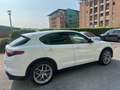 Alfa Romeo Stelvio Stelvio 2020 2.0 t Sprint Q4 200cv auto Bianco - thumbnail 8