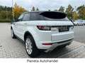 Land Rover Range Rover Evoque *NAVI*LED*STEUERKETTE NEU*EU6* Weiß - thumbnail 7