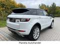 Land Rover Range Rover Evoque *NAVI*LED*STEUERKETTE NEU*EU6* Weiß - thumbnail 5