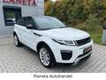 Land Rover Range Rover Evoque *NAVI*LED*STEUERKETTE NEU*EU6* Weiß - thumbnail 4