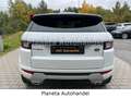 Land Rover Range Rover Evoque *NAVI*LED*STEUERKETTE NEU*EU6* Weiß - thumbnail 6