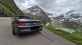 Ford Mustang Mustang 5,0 Ti-VCT V8 GT Cabrio Aut. GT Grau - thumbnail 2
