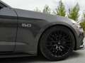 Ford Mustang Mustang 5,0 Ti-VCT V8 GT Cabrio Aut. GT Grau - thumbnail 12