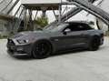 Ford Mustang Mustang 5,0 Ti-VCT V8 GT Cabrio Aut. GT Grau - thumbnail 15