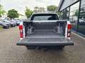Ford Ranger 3.2 D - DoKa - WILDTRACK - AHK - 118tkm Weiß - thumbnail 8