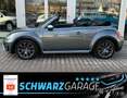 Volkswagen Beetle Cabriolet*DUNE*BI-XENON*KAMERA* Gris - thumbnail 4