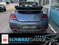 Volkswagen Beetle Cabriolet*DUNE*BI-XENON*KAMERA* Gris - thumbnail 6