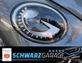 Volkswagen Beetle Cabriolet*DUNE*BI-XENON*KAMERA* Gris - thumbnail 24