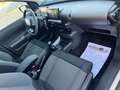 Citroen C4 Cactus 1.6 BlueHDi S&S Shine 100 Blanco - thumbnail 22