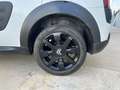 Citroen C4 Cactus 1.6 BlueHDi S&S Shine 100 Blanco - thumbnail 31