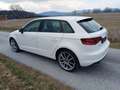 Audi A3 A3 SB Attraction 1,6 TDI DPF Attraction Weiß - thumbnail 4