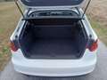 Audi A3 A3 SB Attraction 1,6 TDI DPF Attraction Weiß - thumbnail 22