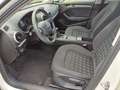 Audi A3 A3 SB Attraction 1,6 TDI DPF Attraction Weiß - thumbnail 10