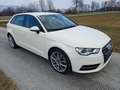 Audi A3 A3 SB Attraction 1,6 TDI DPF Attraction Weiß - thumbnail 2