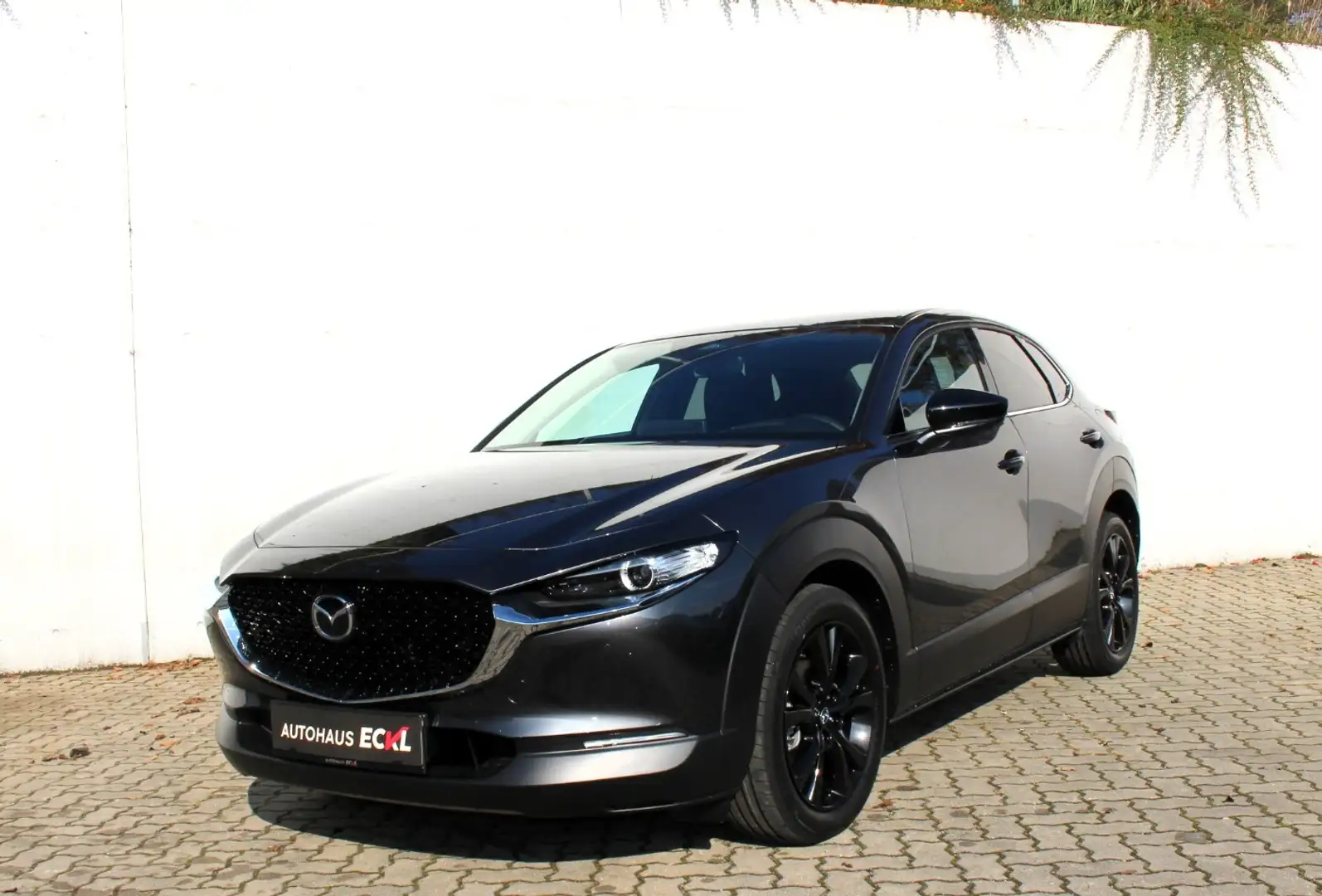 Mazda CX-30 2.5L G140PS 6AT 2WD HOMURA Grau - 2