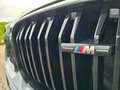 BMW X4 M i*FACELIFT*DEUTSCH*21´´M-Shadow,RFK,ad.LED Gris - thumbnail 37