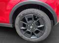 Suzuki Ignis 1,2 DualJet Shine 4WD Rot - thumbnail 17