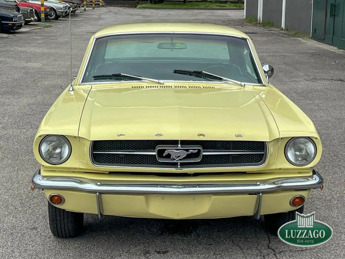 Ford Mustang 289 Automatic Giallo - 2