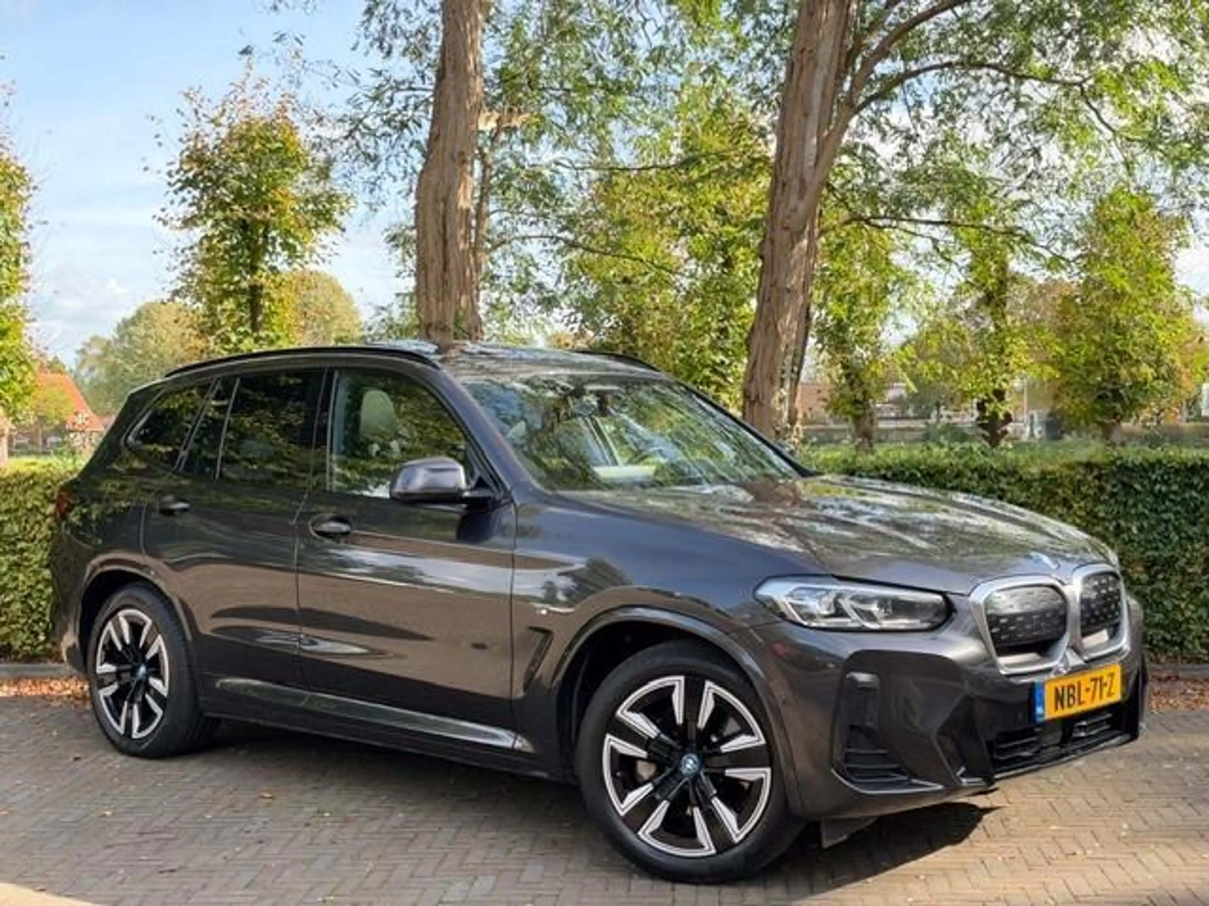 BMW iX3 High Executive — photo 4