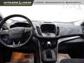 Ford Kuga 1.5 tdci Business 2wd powershift 120cv AUTOMATICA Grigio - thumbnail 5
