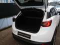 Mazda CX-3 Center-Line*Navi*Klima*Alu*Sitzheizungen Weiß - thumbnail 5