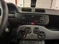 Fiat Panda 1.0 Gse Sport Hybrid Gris - thumbnail 10