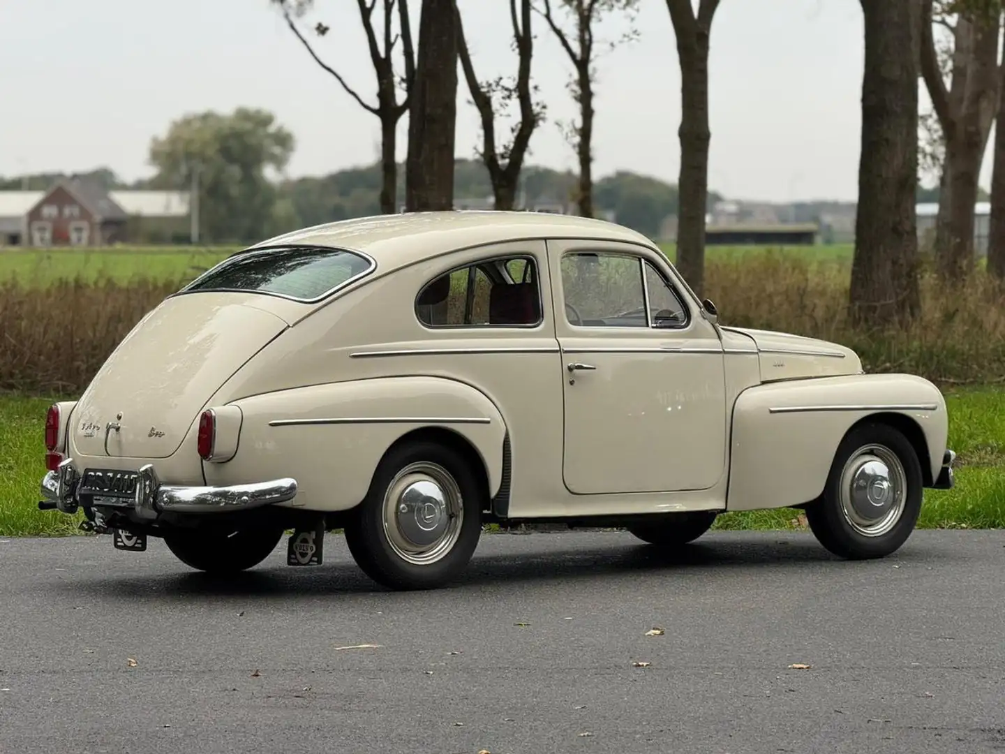 Volvo P 544 Kattenrug Wit - 2