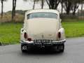 Volvo P 544 Kattenrug Wit - thumbnail 5