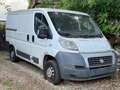 Fiat Ducato Kasten 28 100*KAMERA* Blanc - thumbnail 1