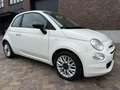 Fiat 500 1.2 Young / Navigatie / 4-Cilinders / 1e Eigenaar Wit - thumbnail 8