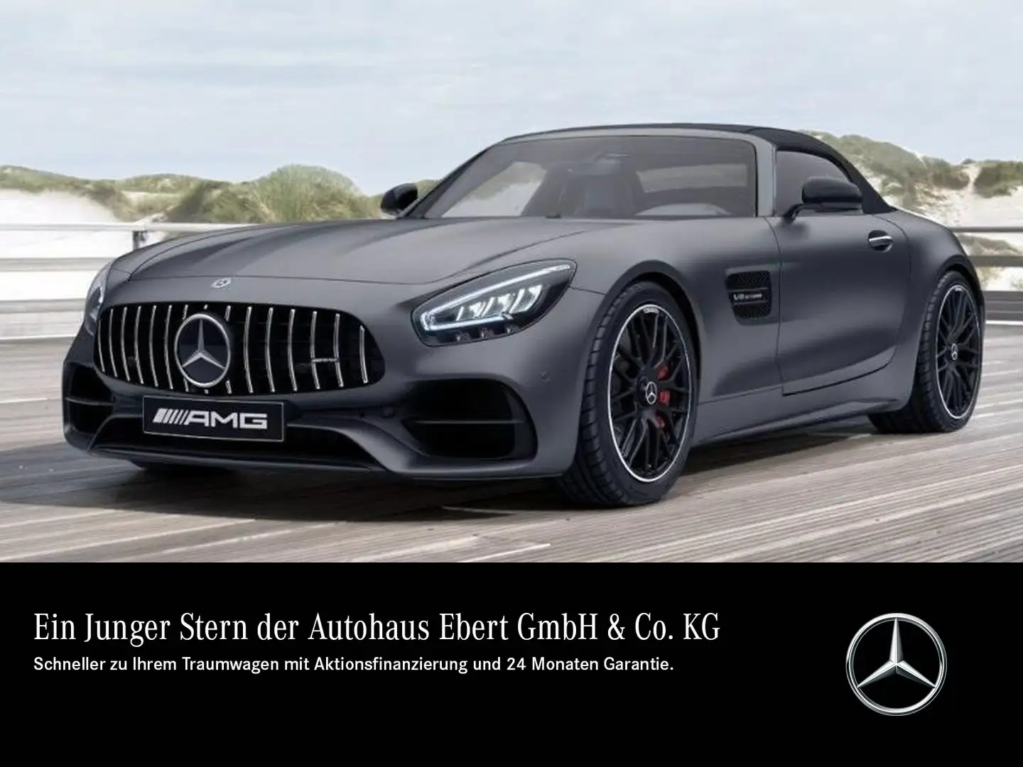 Mercedes-Benz AMG GT C Roadster DISTR Perf.Sitz/AGA Mem MAGNO Gris - 1